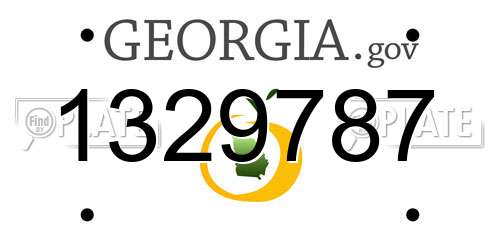 1329787 Georgia License Plate