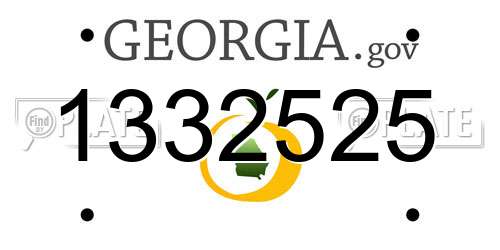 1332525 Georgia License Plate