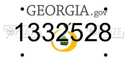 1332528 Georgia License Plate