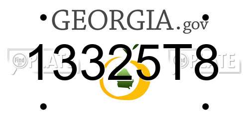 13325T8 Georgia License Plate