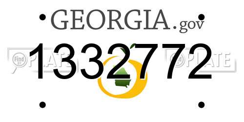 1332772 Georgia License Plate
