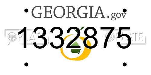 1332875 Georgia License Plate