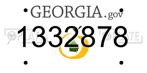1332878 Georgia License Plate