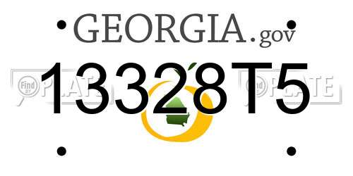 13328T5 Georgia License Plate