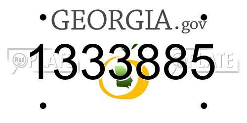 1333885 Georgia License Plate