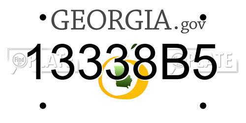 13338B5 Georgia License Plate