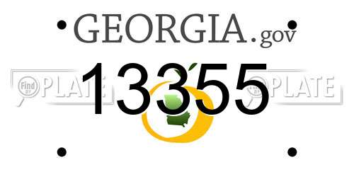 13355 Georgia License Plate