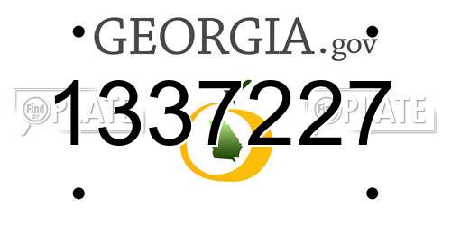 1337227 Georgia License Plate