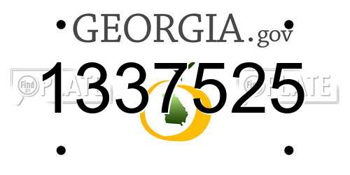 1337525 Georgia License Plate