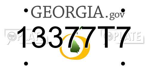 13377T7 Georgia License Plate