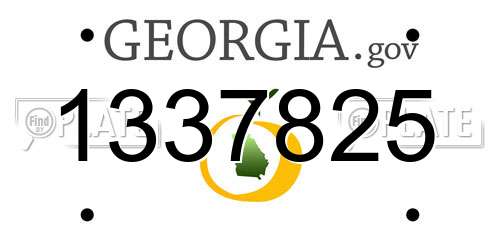 1337825 Georgia License Plate