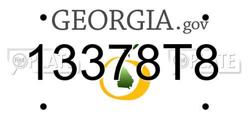 13378T8 Georgia License Plate