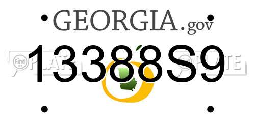 13388S9 Georgia License Plate