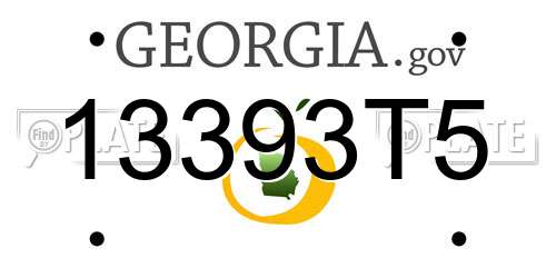 13393T5 Georgia License Plate
