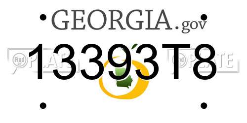 13393T8 Georgia License Plate