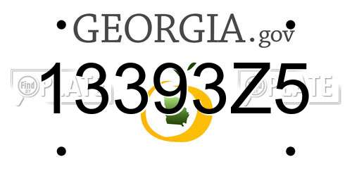 13393Z5 Georgia License Plate