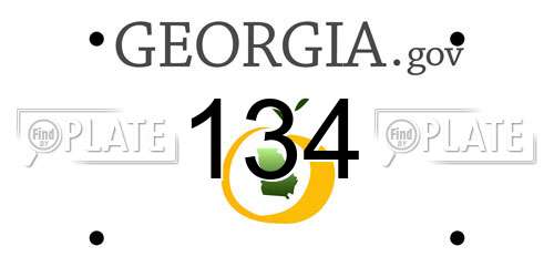 134 Georgia License Plate