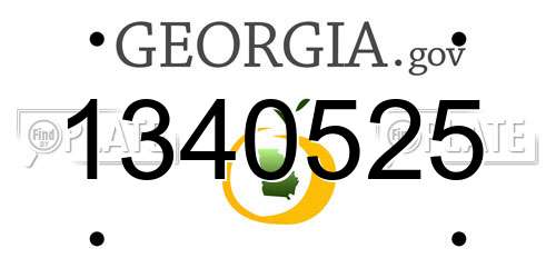 1340525 Georgia License Plate