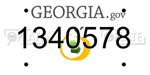 1340578 Georgia License Plate