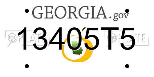 13405T5 Georgia License Plate