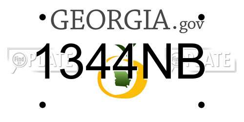 1344NB Georgia License Plate