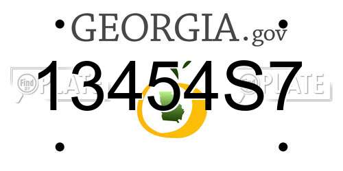 13454S7 Georgia License Plate