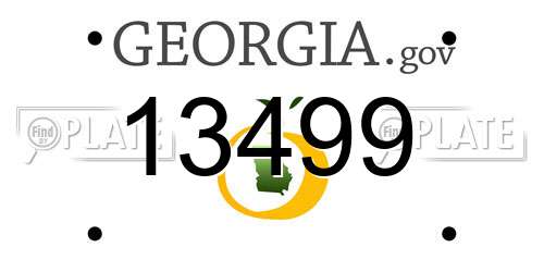 13499 Georgia License Plate