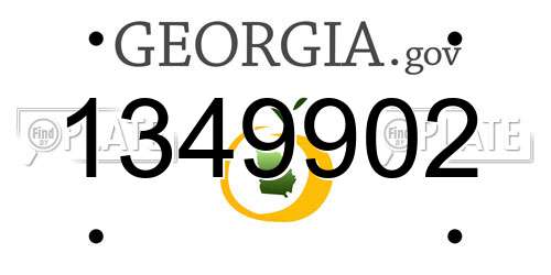 1349902 Georgia License Plate