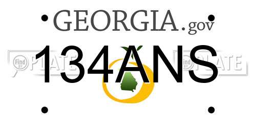 134ANS Georgia License Plate