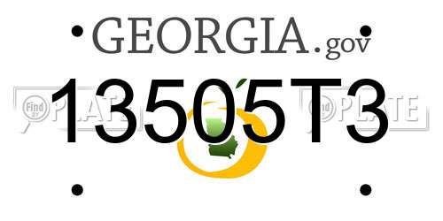 13505T3 Georgia License Plate