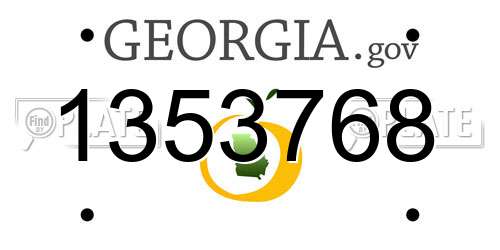 1353768 Georgia License Plate