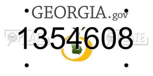 1354608 Georgia License Plate