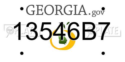 13546B7 Georgia License Plate