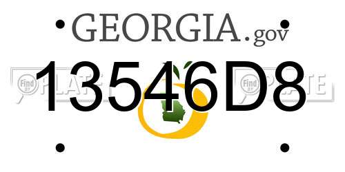 13546D8 Georgia License Plate