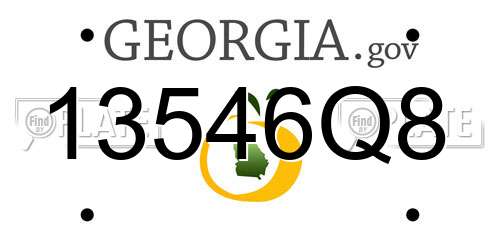 13546Q8 Georgia License Plate