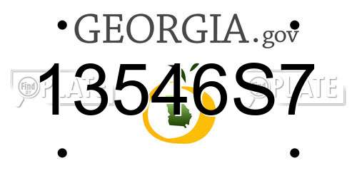 13546S7 Georgia License Plate