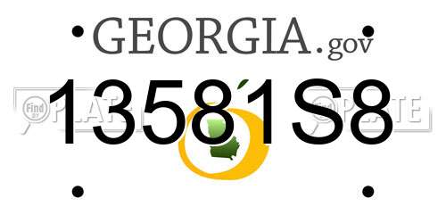 13581S8 Georgia License Plate