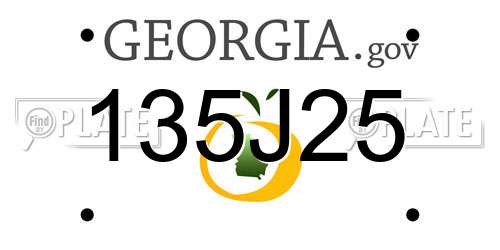 135J25 Georgia License Plate