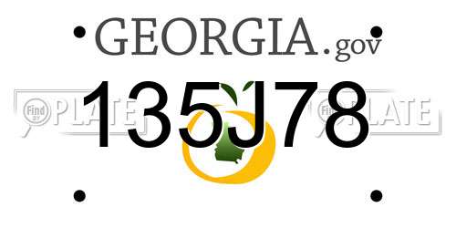 135J78 Georgia License Plate
