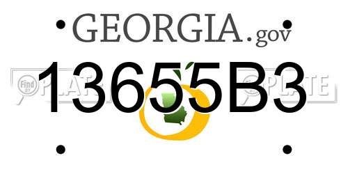 13655B3 Georgia License Plate