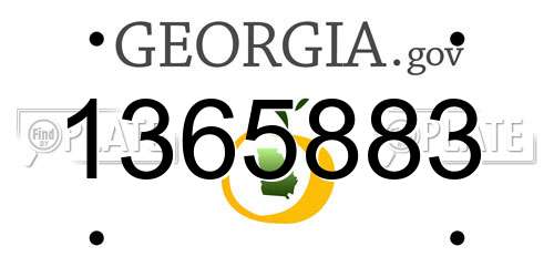 1365883 Georgia License Plate