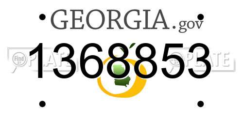 1368853 Georgia License Plate