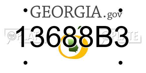 13688B3 Georgia License Plate
