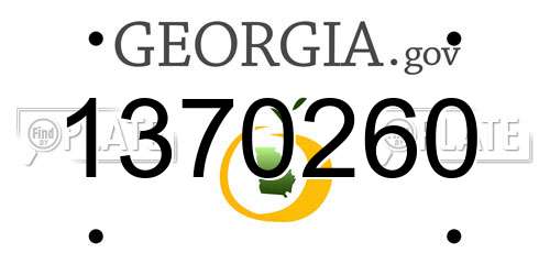 1370260 Georgia License Plate