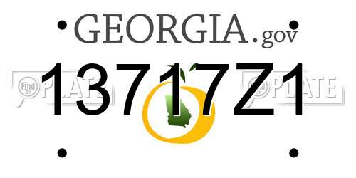 13717Z1 Georgia License Plate