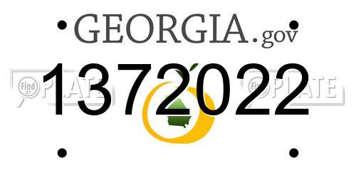 1372022 Georgia License Plate
