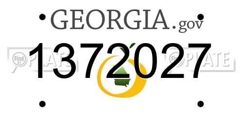 1372027 Georgia License Plate