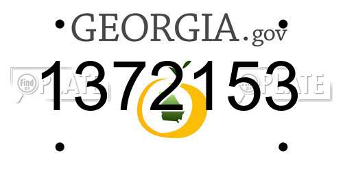 1372153 Georgia License Plate