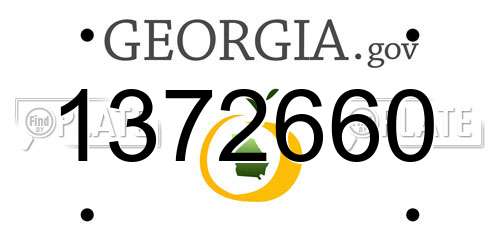 1372660 Georgia License Plate
