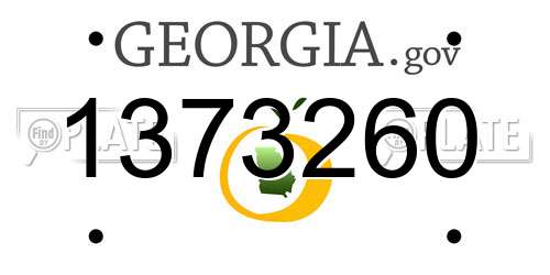 1373260 Georgia License Plate